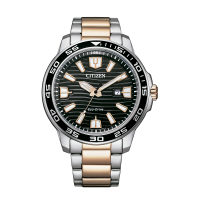Reloj AW1524-84E Citizen.